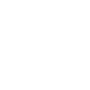 California State University logo